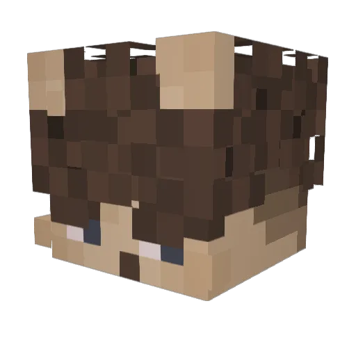 J6pk Minecraft avatar head, 3D render