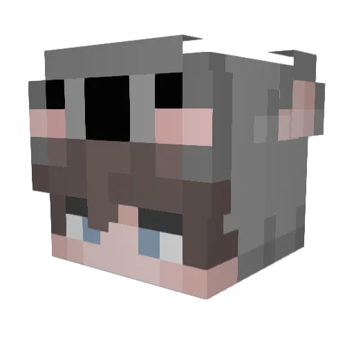 J6qr Minecraft avatar head, 3D render