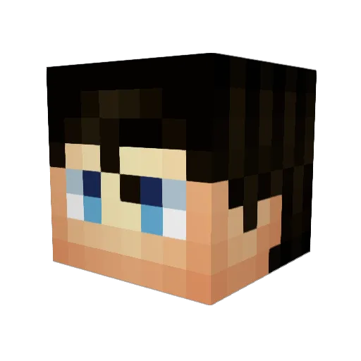 J7Se Minecraft avatar head, 3D render