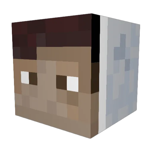 J8750R Minecraft avatar head, 3D render