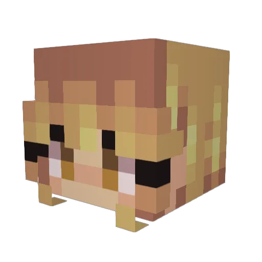 J9ne Minecraft avatar head, 3D render