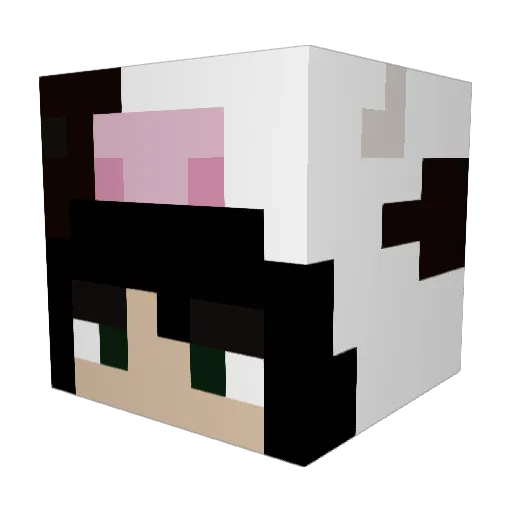 JAABNO Minecraft avatar head, 3D render