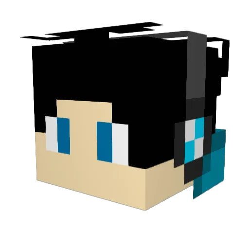 JACKISCHAN12 Minecraft avatar head, 3D render