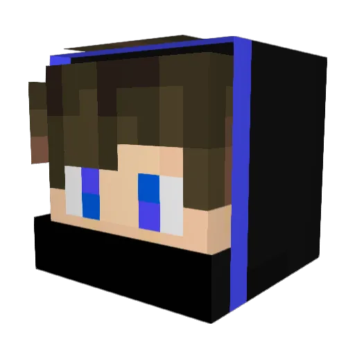 JACKS0N1 Minecraft avatar head, 3D render