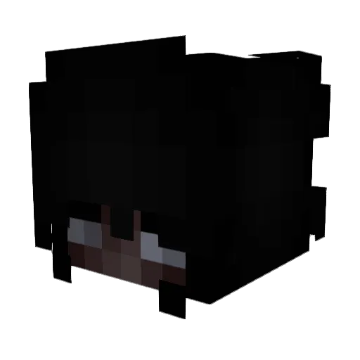 JACKSEN187 Minecraft avatar head, 3D render