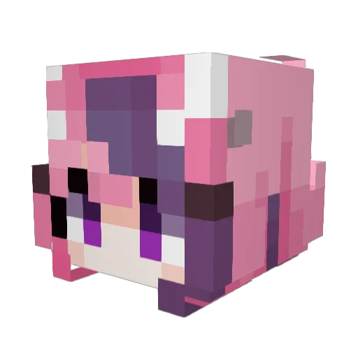 JACOBGABBY Minecraft avatar head, 3D render