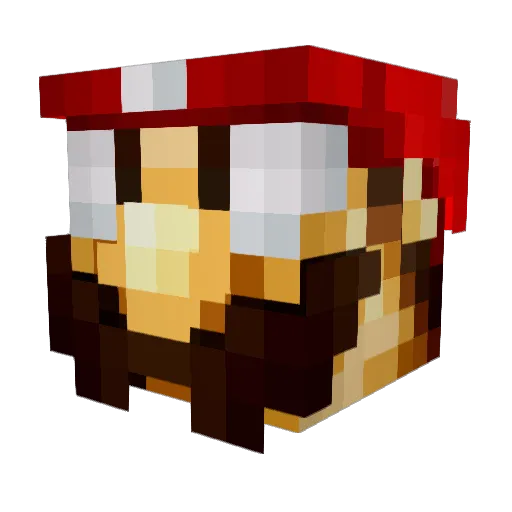 JACONBACON53 Minecraft avatar head, 3D render