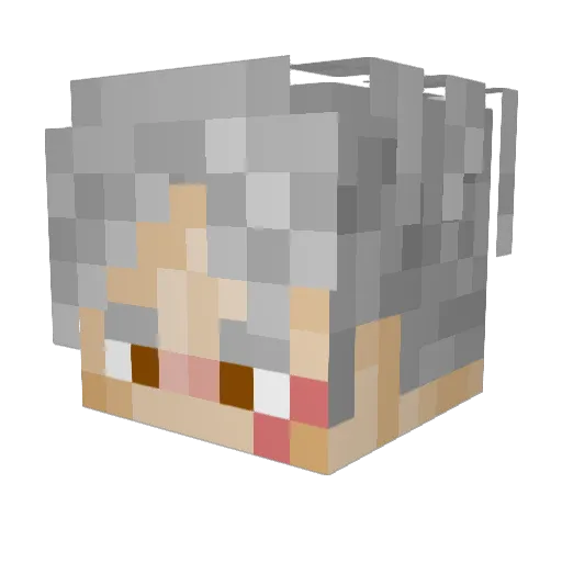 JAG2512 Minecraft avatar head, 3D render