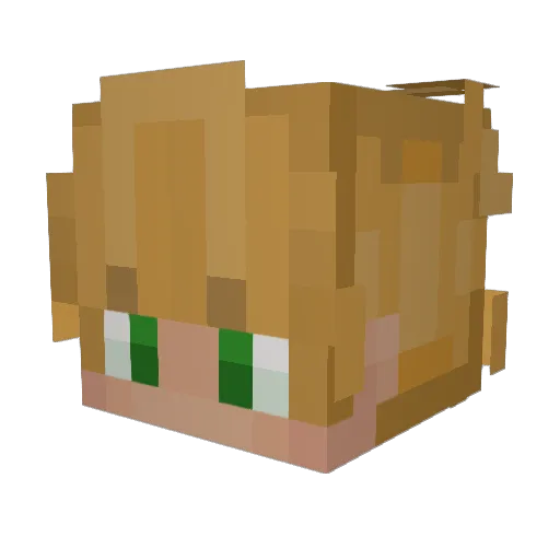 JAIME331 Minecraft avatar head, 3D render