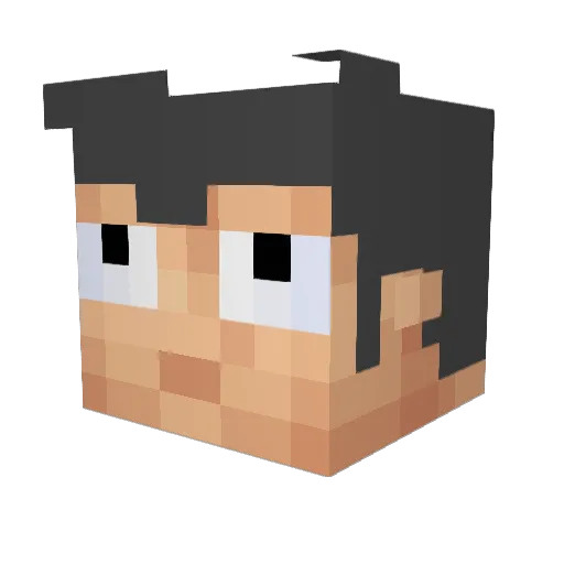 JAK0TAY Minecraft avatar head, 3D render