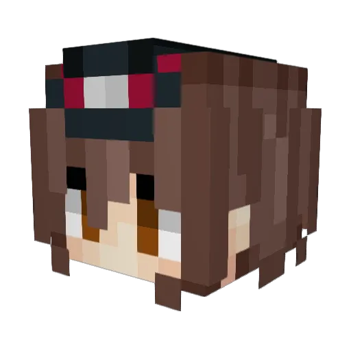JAKEFRONT Minecraft avatar head, 3D render