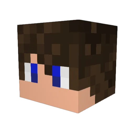 JAKEPE13 Minecraft avatar head, 3D render