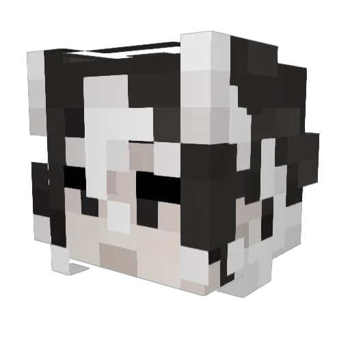 JAKESHOOO Minecraft avatar head, 3D render