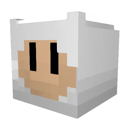 JAKE_BON Minecraft avatar head, 3D render