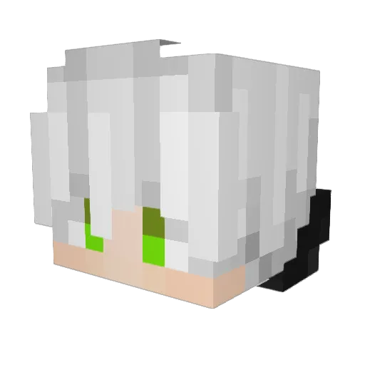 JAKOBOLD_hd Minecraft avatar head, 3D render