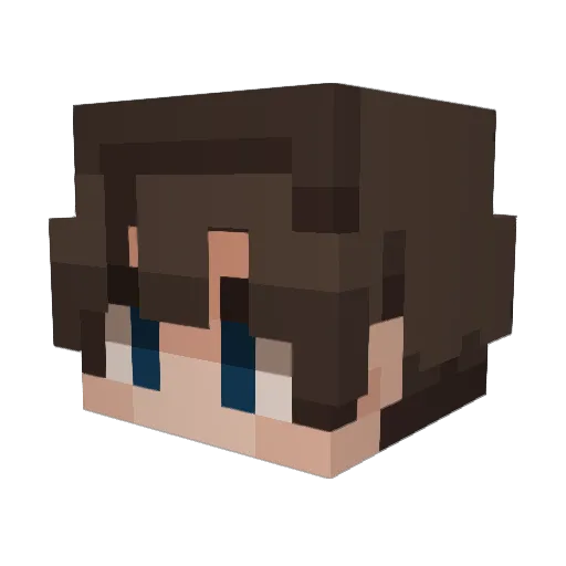 JAME55 Minecraft avatar head, 3D render