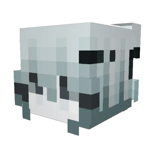 JAMESGOD000 Minecraft avatar head, 3D render