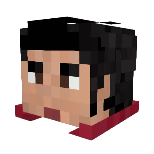JAMESXCRAFTER6 Minecraft avatar head, 3D render