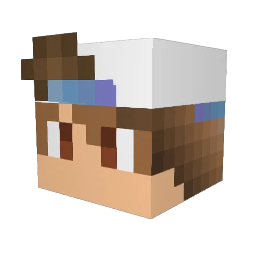 JANEKoo7 Minecraft avatar head, 3D render