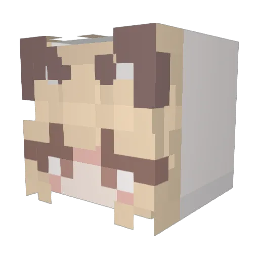 JANESWAN Minecraft avatar head, 3D render