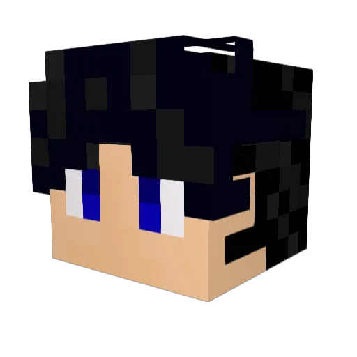 JANGGUNHO0716 Minecraft avatar head, 3D render