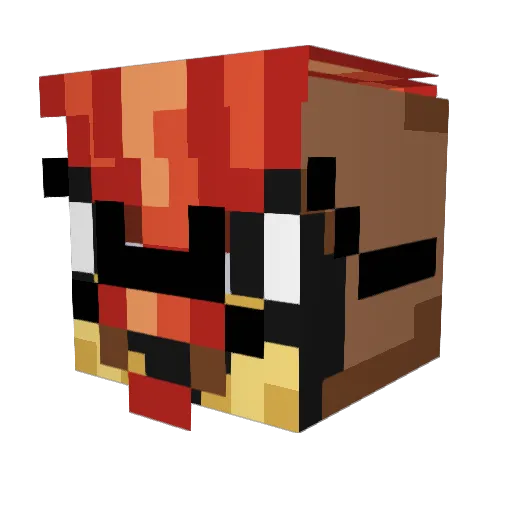 JANSELTOPO Minecraft avatar head, 3D render