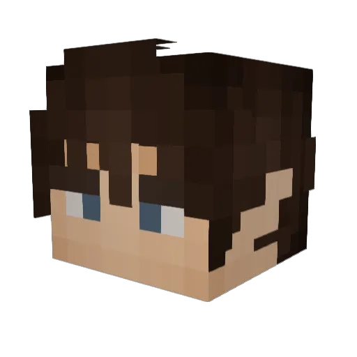 JANUSZEK06 Minecraft avatar head, 3D render