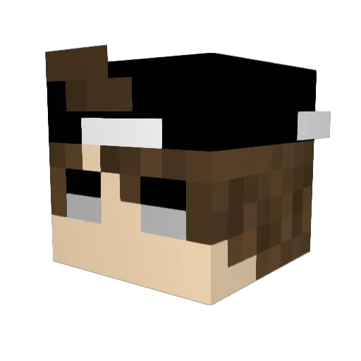 JAPA_US Minecraft avatar head, 3D render
