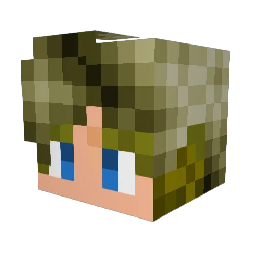 JARED_2009 Minecraft avatar head, 3D render
