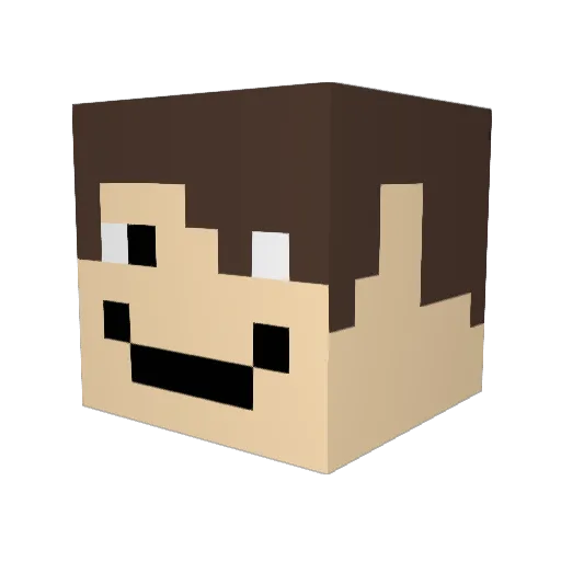 JASONLEE1219 Minecraft avatar head, 3D render