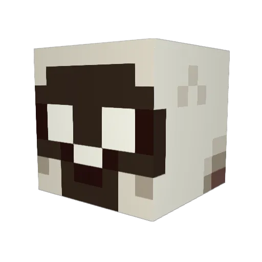 JASON_JOGA Minecraft avatar head, 3D render