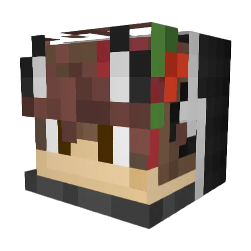 JATSDrake Minecraft avatar head, 3D render