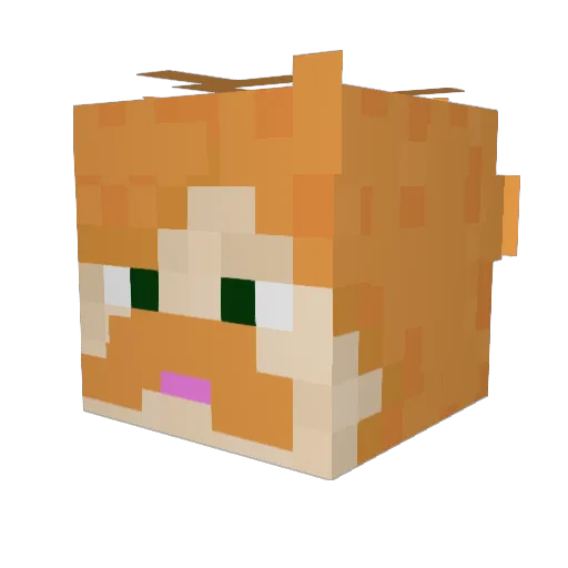 JAVIEREDU Minecraft avatar head, 3D render