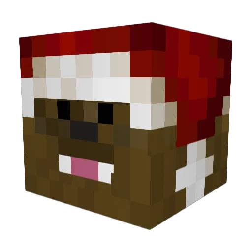 JAXINATOR25 Minecraft avatar head, 3D render