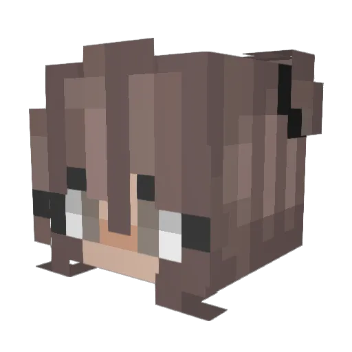 JAY1176 Minecraft avatar head, 3D render