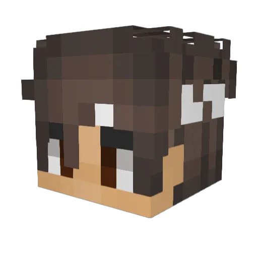 JAYB13 Minecraft avatar head, 3D render