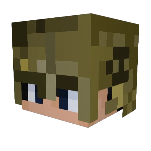JAYDEE378 Minecraft avatar head, 3D render