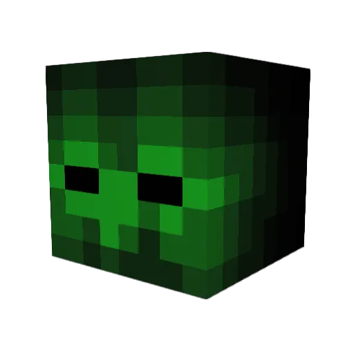 JAYDENGRULES Minecraft avatar head, 3D render