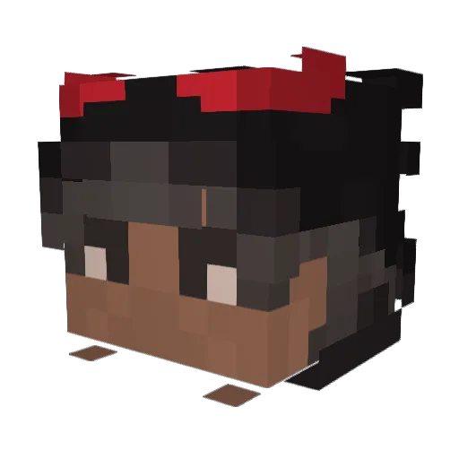 JAYDIOUS Minecraft avatar head, 3D render