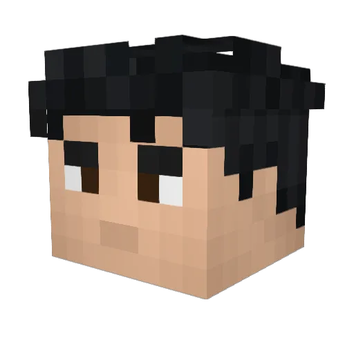 JAY_Bryan Minecraft avatar head, 3D render