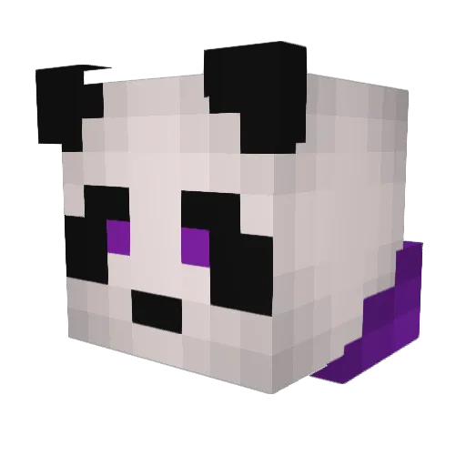 JAYdoesPVP Minecraft avatar head, 3D render