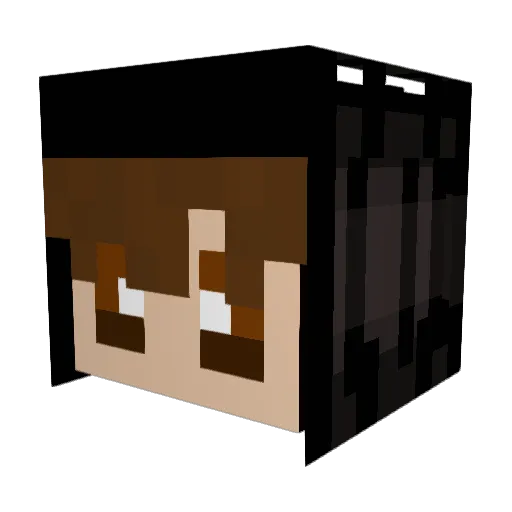 JAYxDAY Minecraft avatar head, 3D render