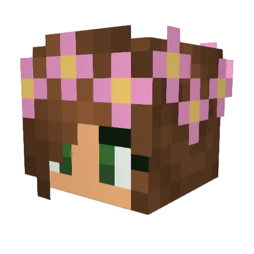 JA_GAMER Minecraft avatar head, 3D render