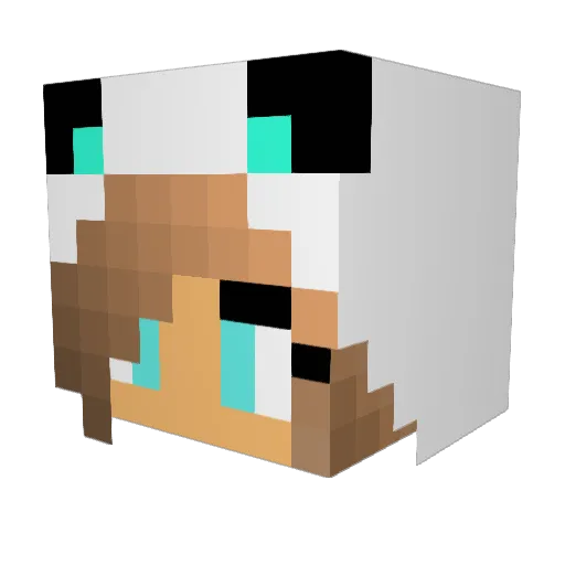 JAcool12 Minecraft avatar head, 3D render