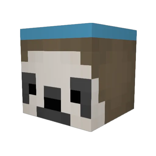 JAnderson9563 Minecraft avatar head, 3D render