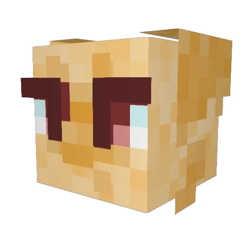 JAorange Minecraft avatar head, 3D render
