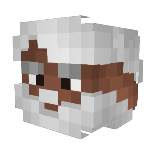 JBA4000 Minecraft avatar head, 3D render