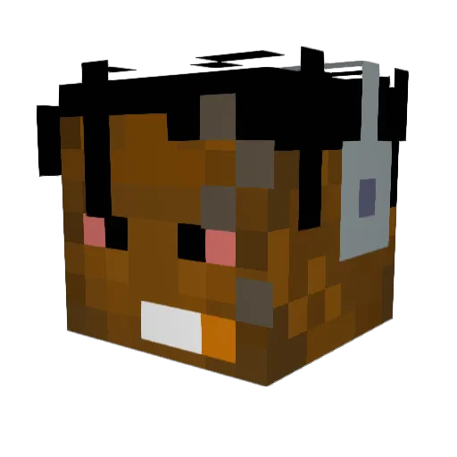 JBOENNNN Minecraft avatar head, 3D render