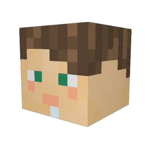 JBR05 Minecraft avatar head, 3D render