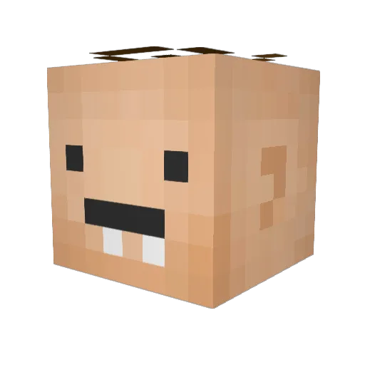 JBR68 Minecraft avatar head, 3D render